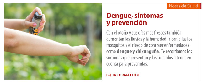 Dengue, síntomas y prevención.