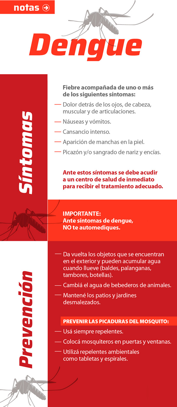 Dengue síntomas y prevención.
